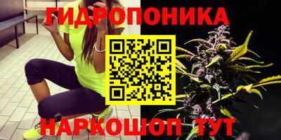 apvp Коммунар