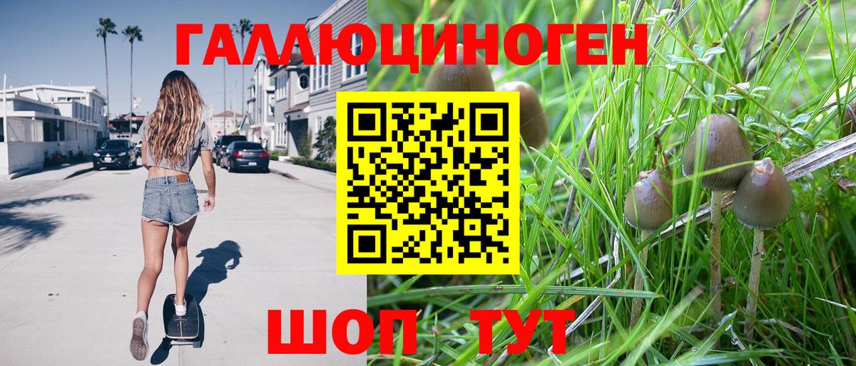 Галлюциногенные грибы Psilocybine cubensis Иваново