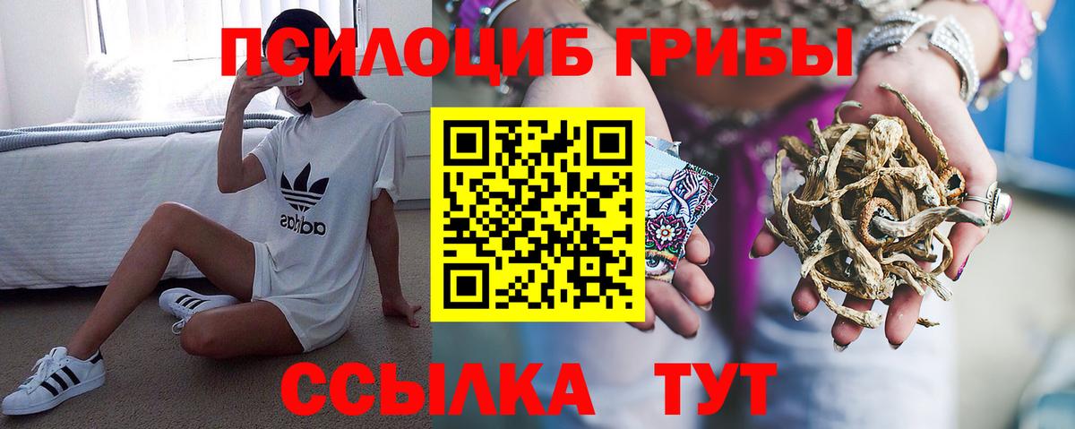 Иваново  Галлюциногенные грибы GOLDEN TEACHER  Вход с VPN  Галлюциногенные грибы ЛСД 
